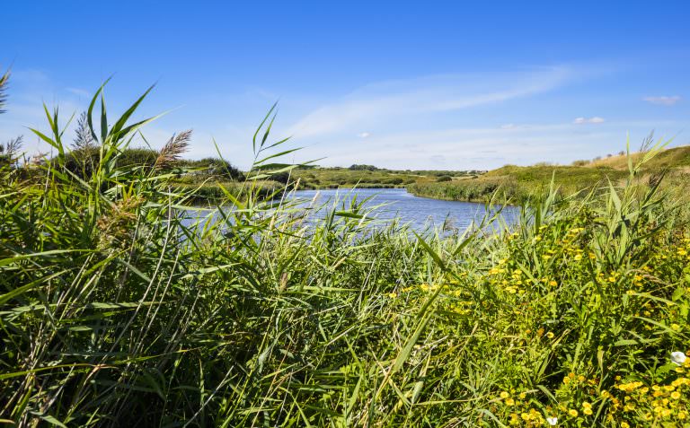 Etang du Loch, Naturschutzgebiet in Guidel (Südbretagne)