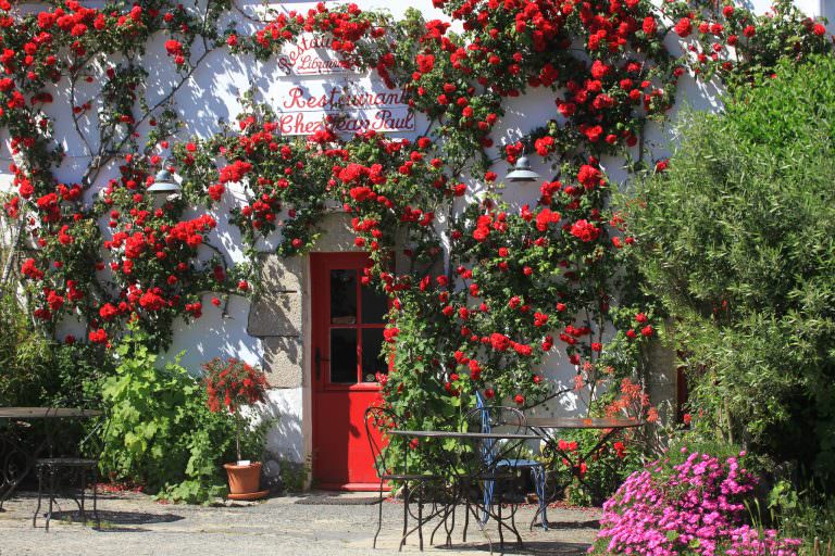 Blumige Terrasse in einem Restaurant auf der Insel Houat (Südbretagne)