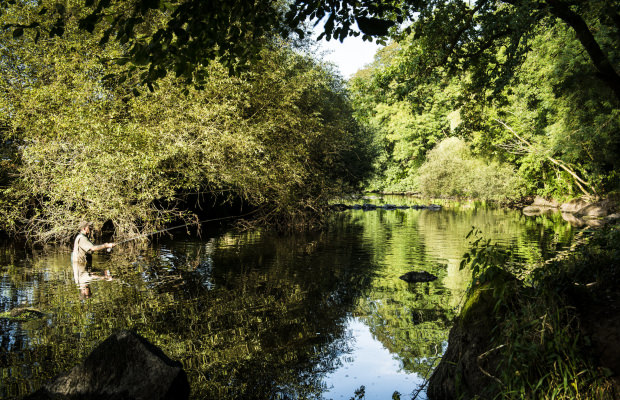 Pesca en Pont Scorff