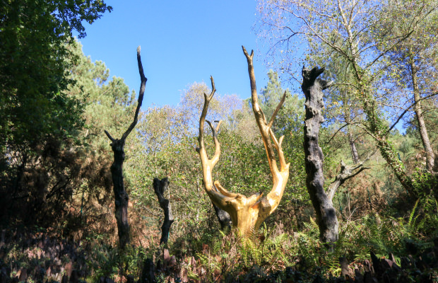 Der Goldene Baum aus der Legende von König Artus im Wald von Brocéliande (Morbihan)