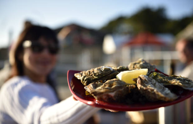 Austernverkostung in Baden, im Golf von Morbihan (Südbretagne)