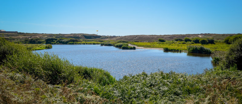 Guidel étang du Loch réserve naturelle