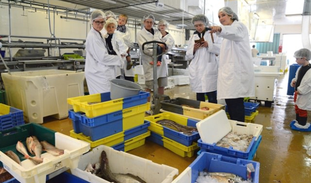 Führung durch die Versteigerung im Fischereihafen Kéroman in Lorient mit dem Espace des Sciences - Maison de la Mer (Morbihan, Süd-Bretagne)