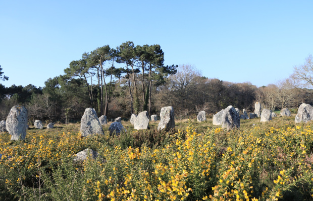 Menhirreihen, Weltkulturerbe in Carnac (Morbihan, Süd-Bretagne)