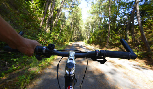 Fahrradtour auf dem grünen Weg der Kaolins zwischen Lorient und Ploemeur in Lorient Süd-Bretagne (Morbihan)