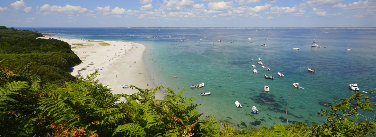 Plage des Grands Sables, Farne und klares Wasser auf der Ile de Groix (Morbihan, Süd-Bretagne)